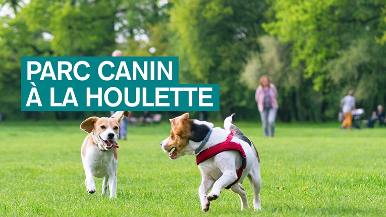 parc canin à la Houlette